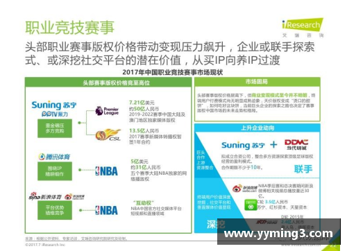 BD体育官方网站NBA盈利模式分析与商业策略探讨